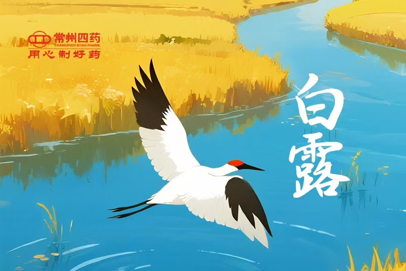 今日白露 | 一夜涼一夜，鴻雁南歸時(shí)