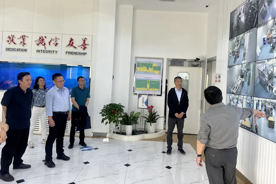 3541744444743861.jpg 4.jpg